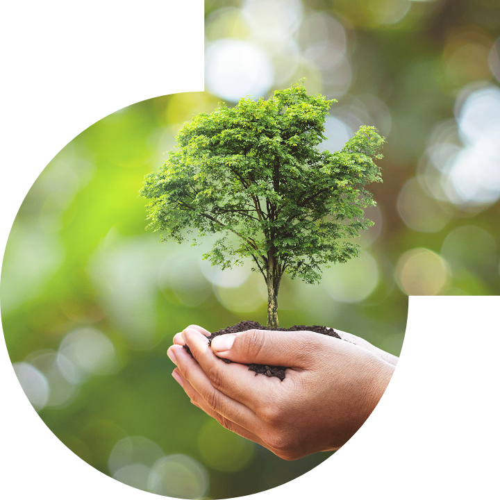 关怀人类、文化、环境与社会